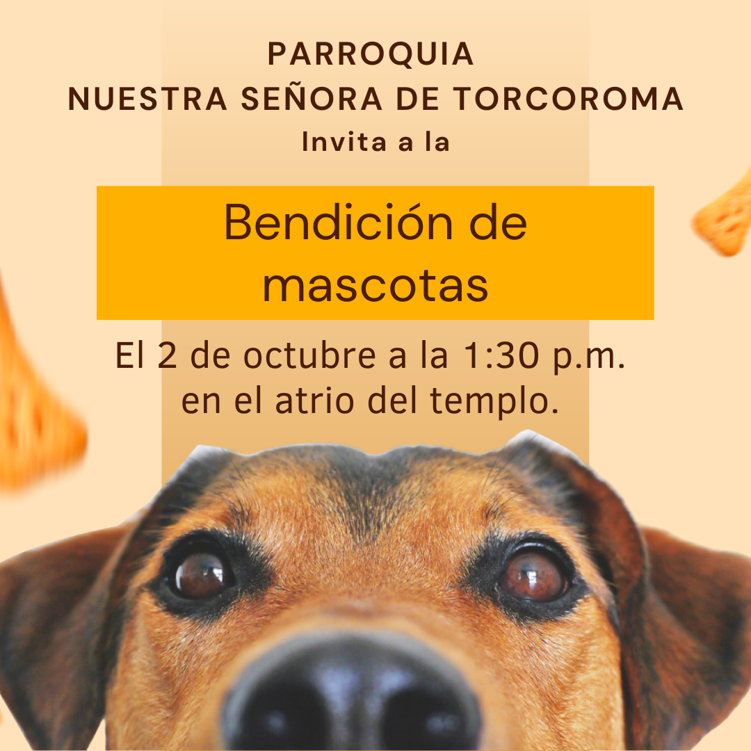 Bendición de mascotas