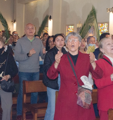 feligreses santo domingo savio 